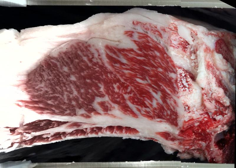 Carcase cross-section for MCKFR2999