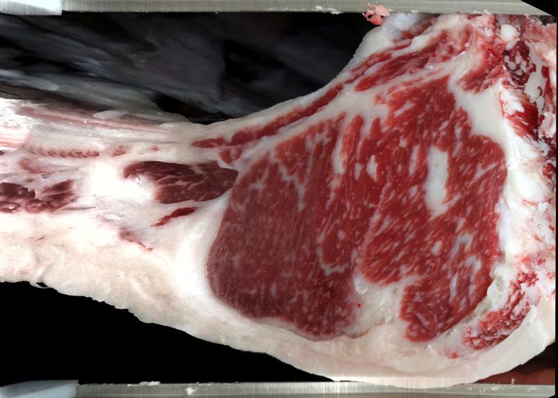 Carcase cross-section for MCKFR3069