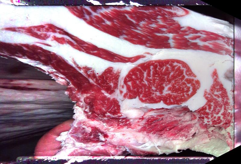 Carcase cross-section for MCKFQ2480