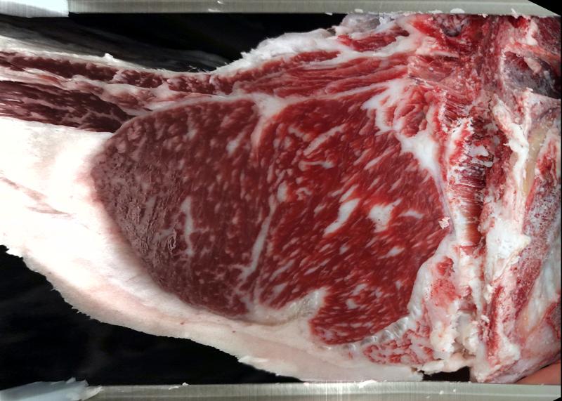 Carcase cross-section for MCKFR2940