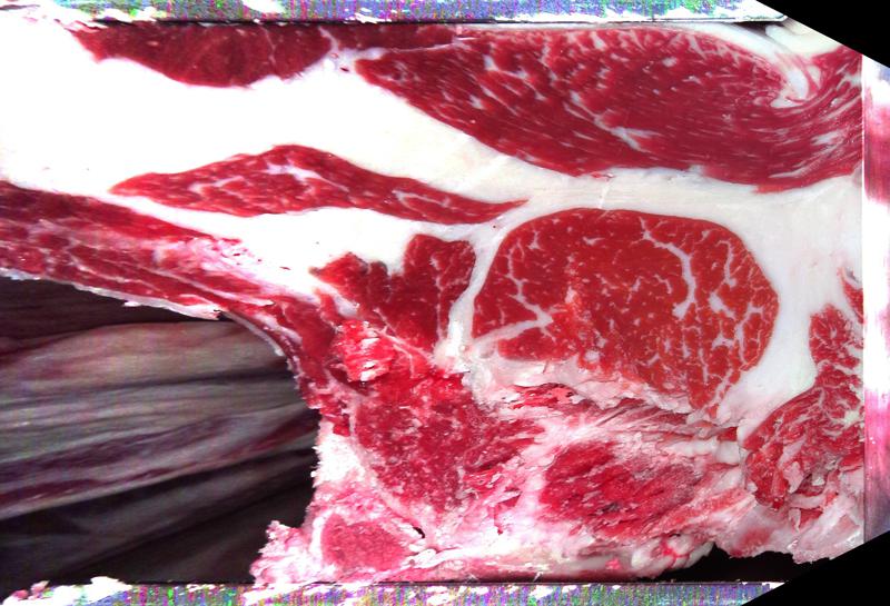 Carcase cross-section for MCKFP2436