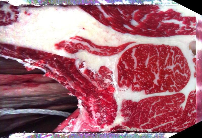 Carcase cross-section for MCKFP2447