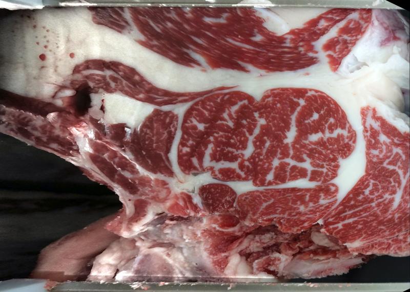 Carcase cross-section for MCKFQ2579