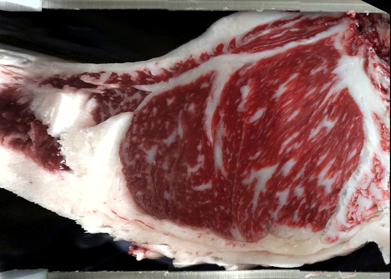 Carcase cross-section for MCKFR2797