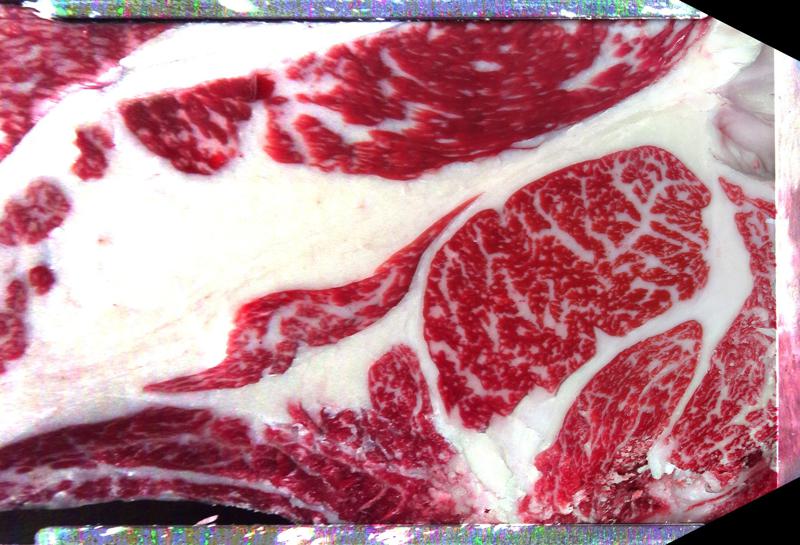 Carcase cross-section for MCKFP2275