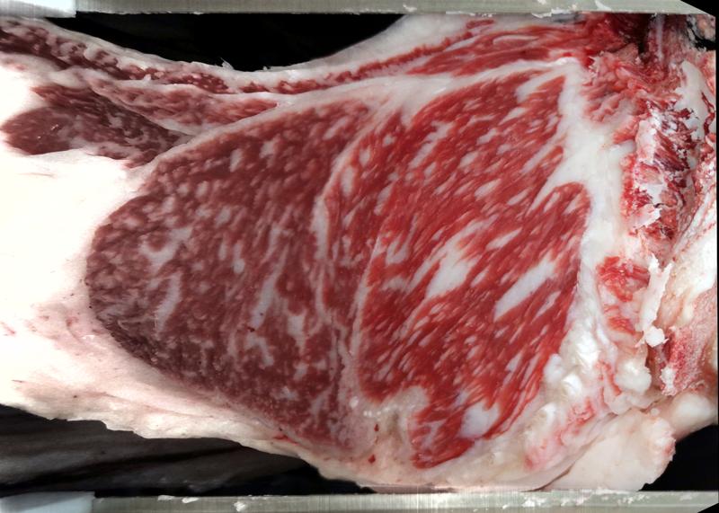 Carcase cross-section for MCKFR2827