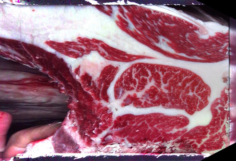 Carcase cross-section for MCKFQ2701
