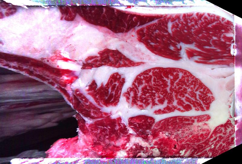 Carcase cross-section for MCKFP2370