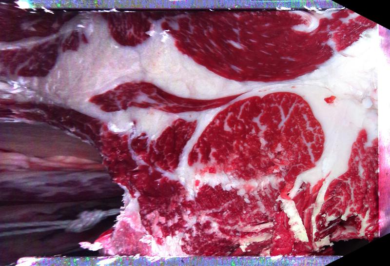 Carcase cross-section for MCKFP2343