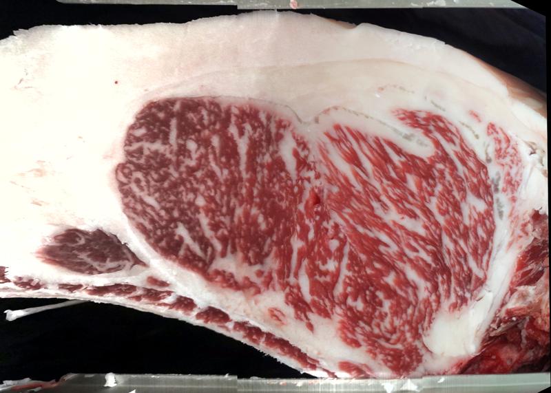 Carcase cross-section for MSMFS0169
