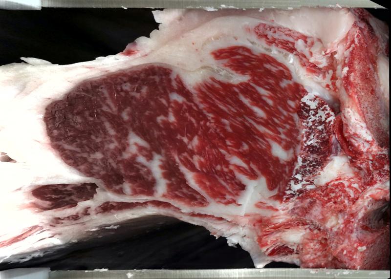 Carcase cross-section for MCKFR2941