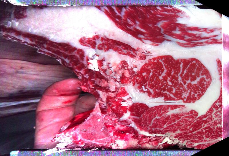 Carcase cross-section for MCKFP2362