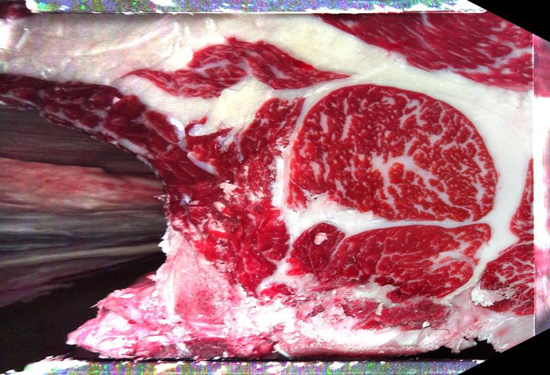 Carcase cross-section for MCKFP2160