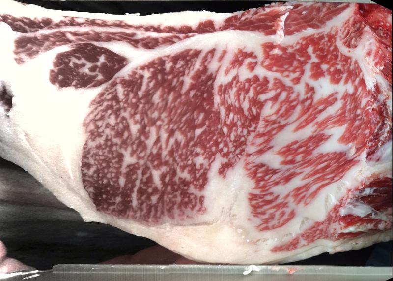 Carcase cross-section for MSMFS0062