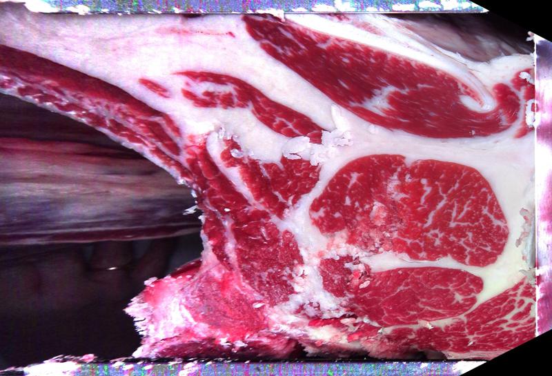 Carcase cross-section for MCKFP2444