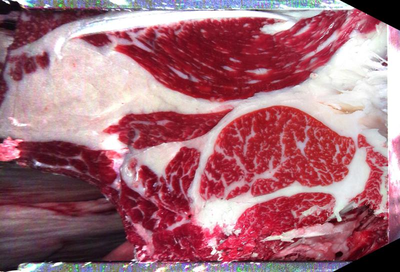 Carcase cross-section for MCKFP2174