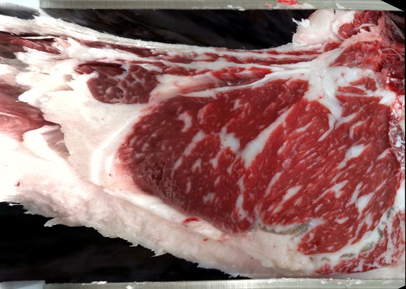 Carcase cross-section for MSMFR0055
