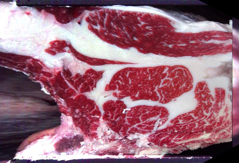 Carcase cross-section for MCKFQ2764