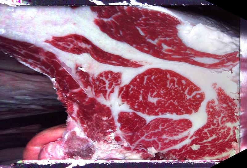 Carcase cross-section for MCKFQ2562
