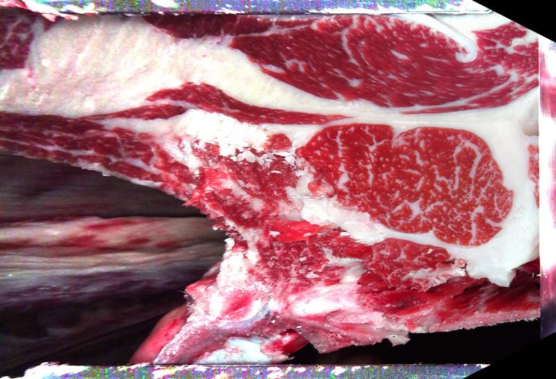 Carcase cross-section for MCKFP2351