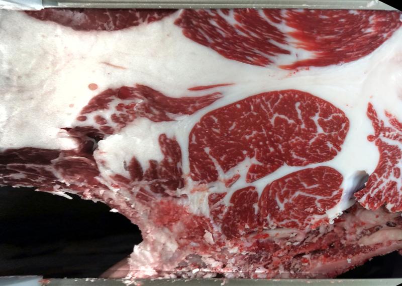 Carcase cross-section for MCKFQ2491