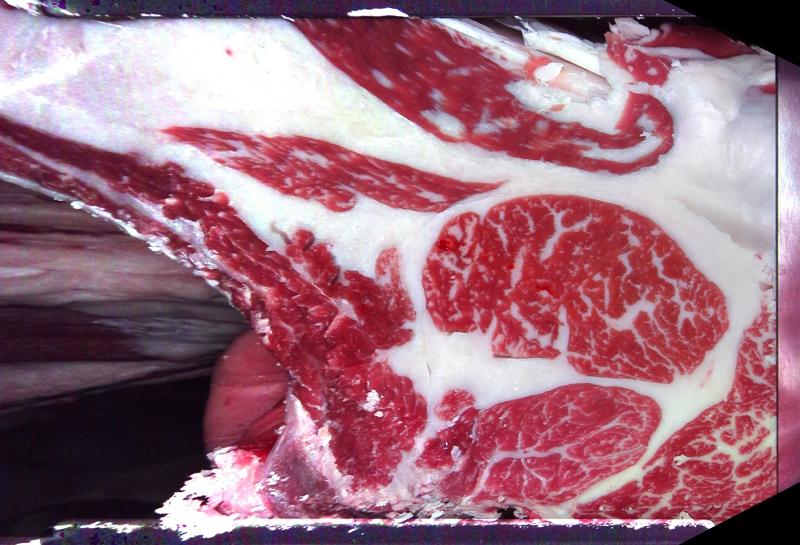 Carcase cross-section for MCKFQ2610