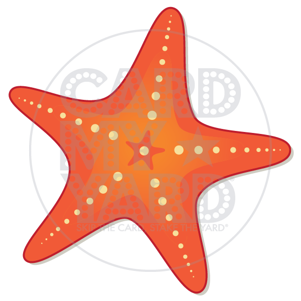 Animal: Starfish Animal: Starfish