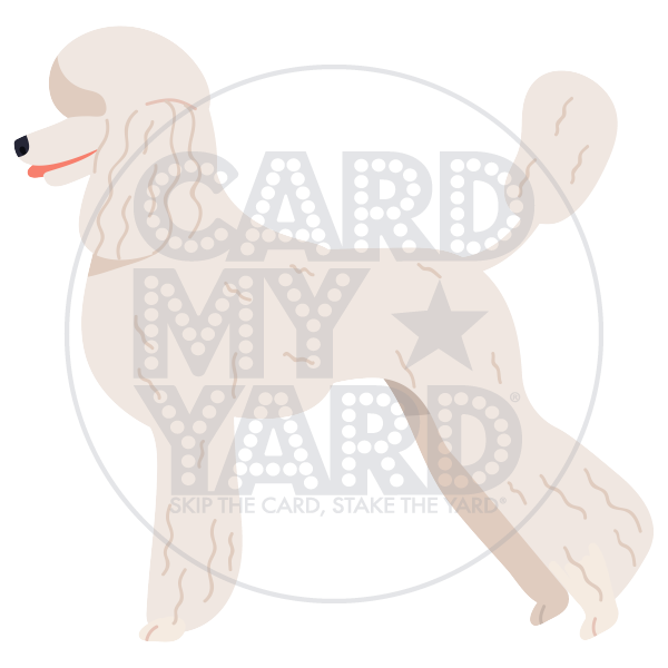 Animal: White Poodle