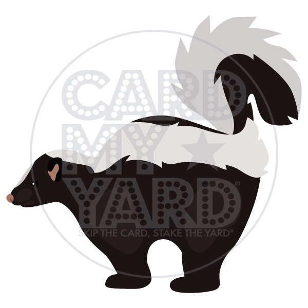 Animals: Skunk