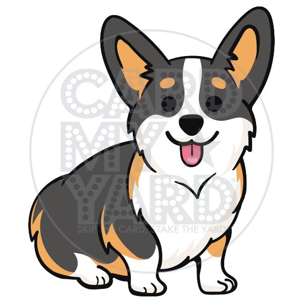 Animal: Tri Color Corgi Animal: Tri Color Corgi