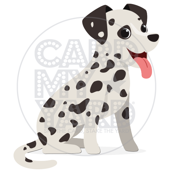 Animal: Dalmatian Animal: Dalmatian