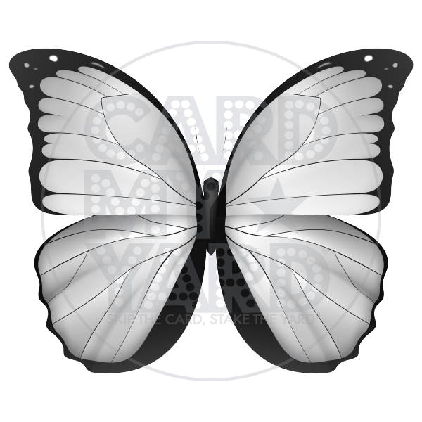Animal: White Butterfly