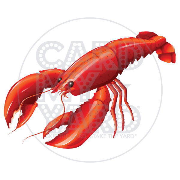 Animal: Realistic Crawfish