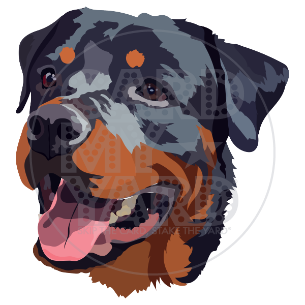 Animal: Rottweiler Face