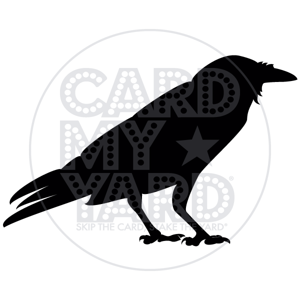 Animal: Raven - Right