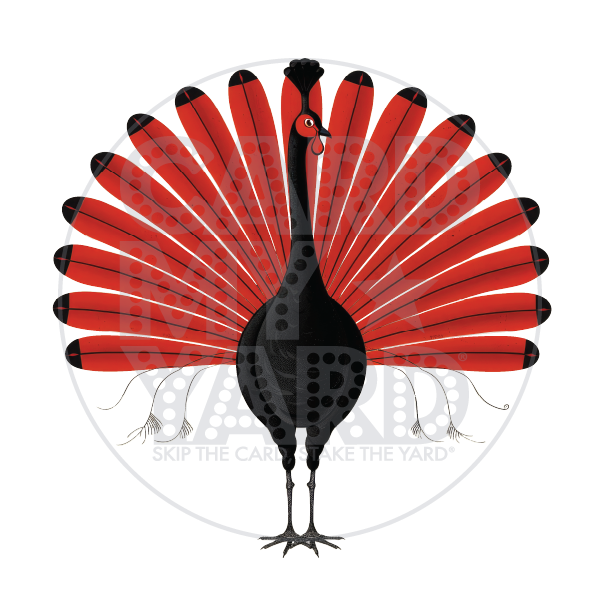 Animal: Red & Black Peacock