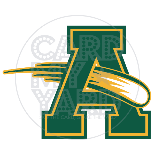 School Graphic: Amherst Comets