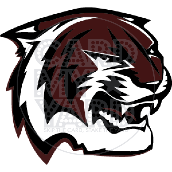 School Graphic: A&M Consolidated