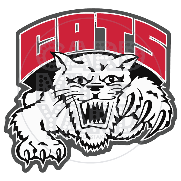 School Graphic: Struthers Local School CATS