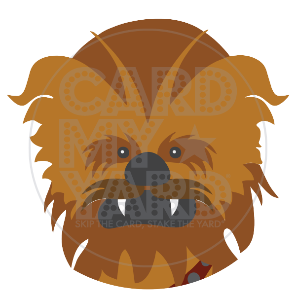 Character: Chewy Mask Character: Chewy Mask