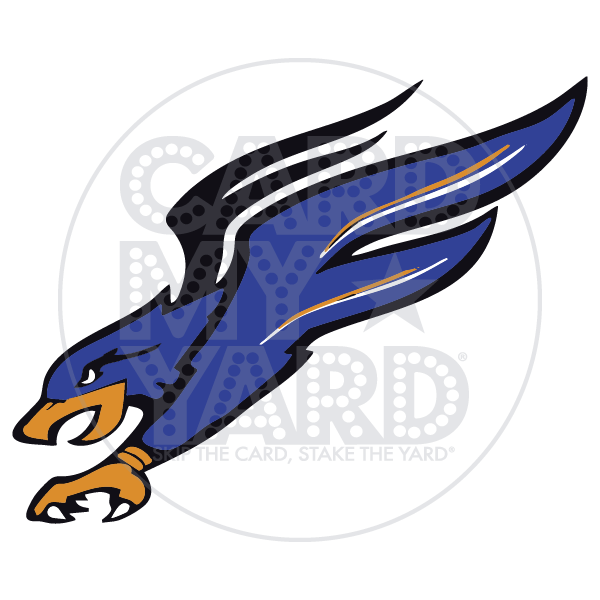 School Graphic: Blue Falcon