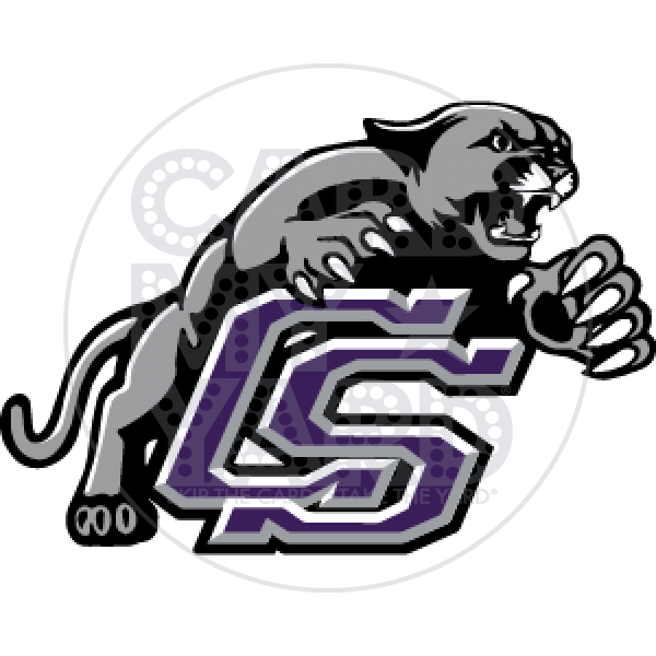 School Graphic: CSHS Cougar