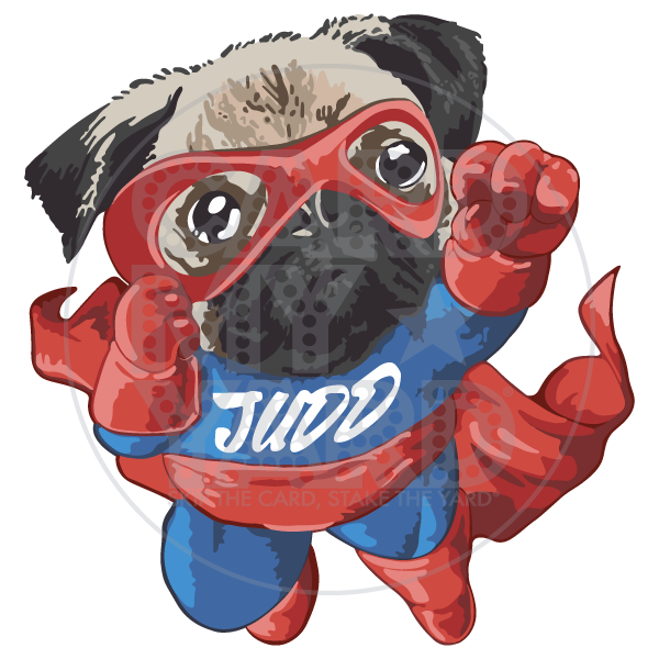 Ribbon/Cause: Super Judd