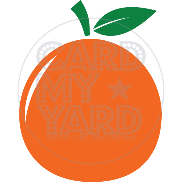 Food: Orange Food: Orange