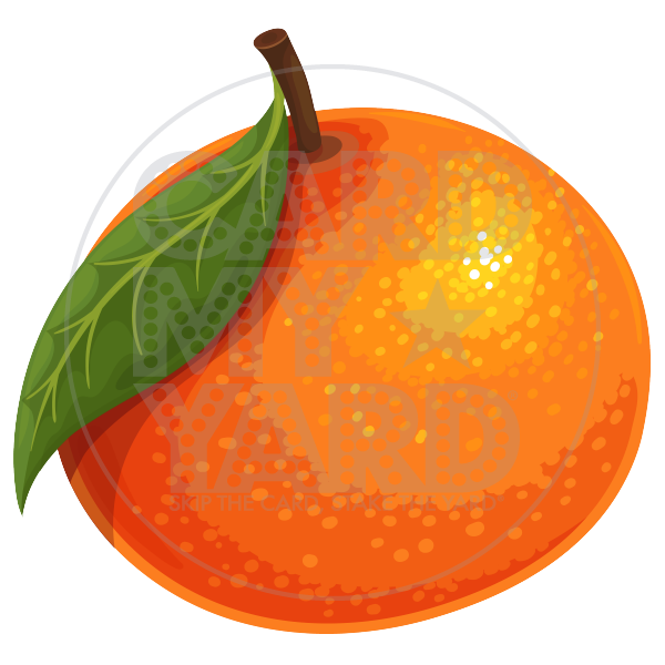 Food: Single Mandarin Orange with Leaf