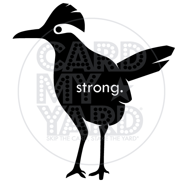 School Graphic: Roadrunner Strong (Marshall Road Elementary)