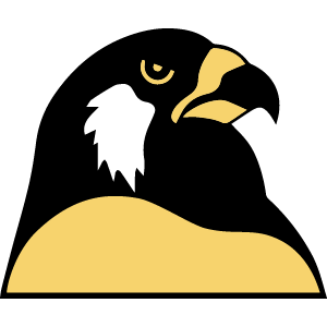 School Graphic: Foster HS Falcon