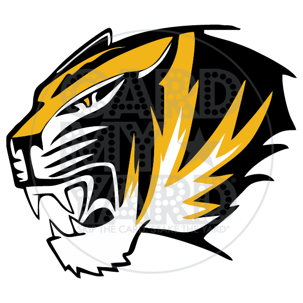 School Graphic: Tigers
