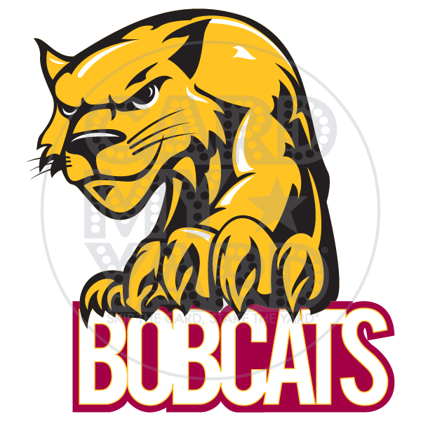School Graphic: Bridges Bobcat