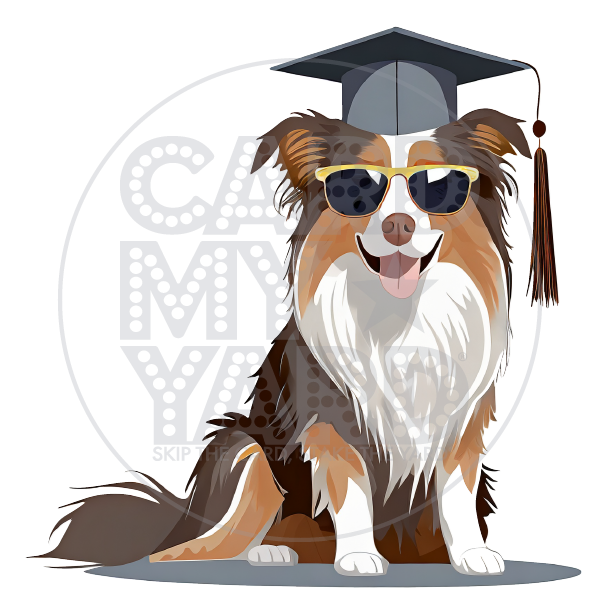 Graduation: Collie Grad With Sunglasses